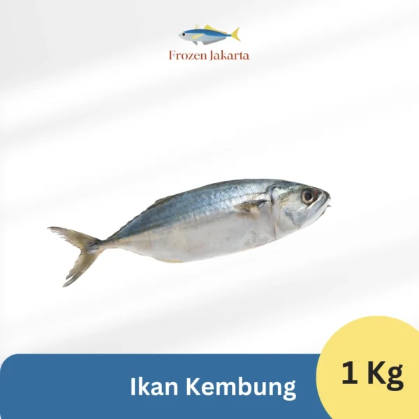 ikan kembung frozen jakarta