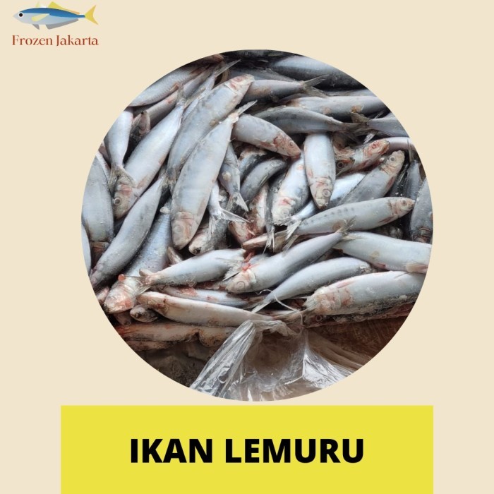 IKAN LEMURU UTUH FROZEN JAKARTA FRESH