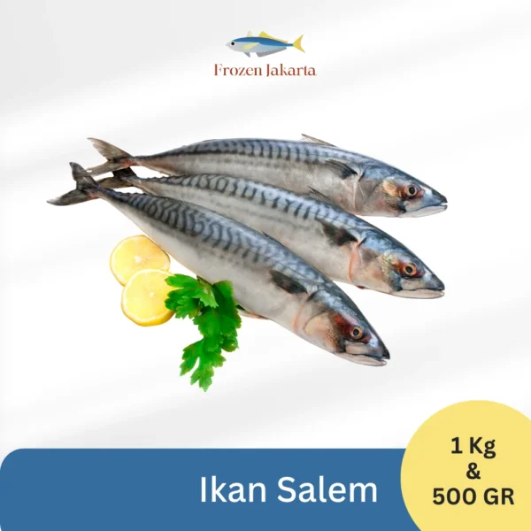 Ikan Salem Frozen Jakarta